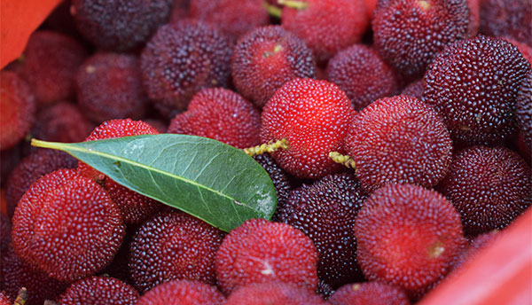 �и��ܳ���÷�� ����÷Ҫע��ʲô����